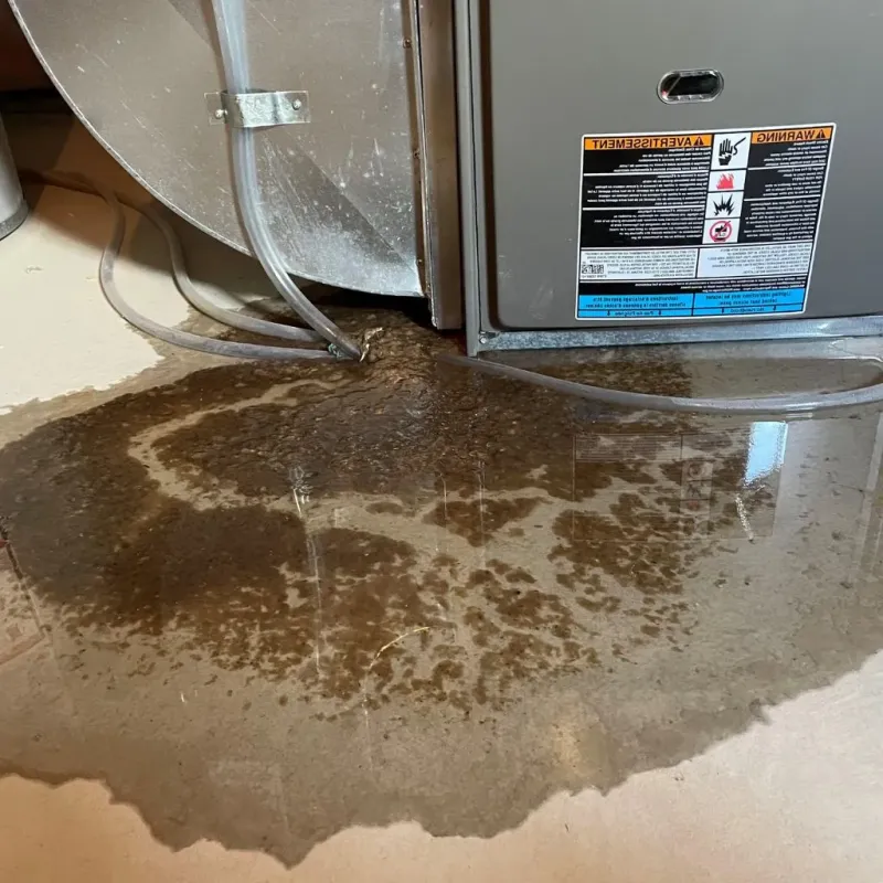 Pipe Burst and Leak Restoration in Paulding, OH